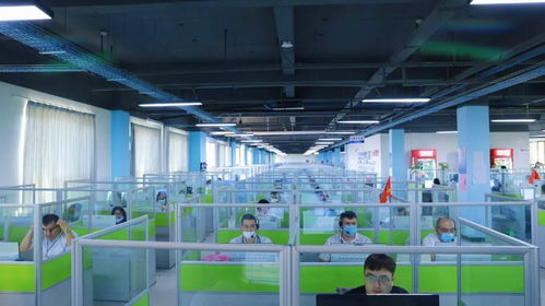 點贊金山 集聚萬企，網絡技術服務輻射全國，援疆行動展現擔當